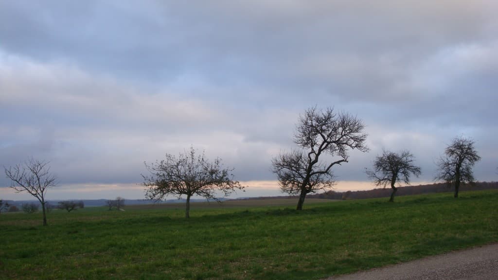 En avant pour l'automne..