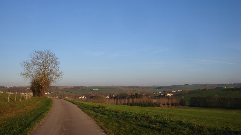 Ensoleillé mais froid..