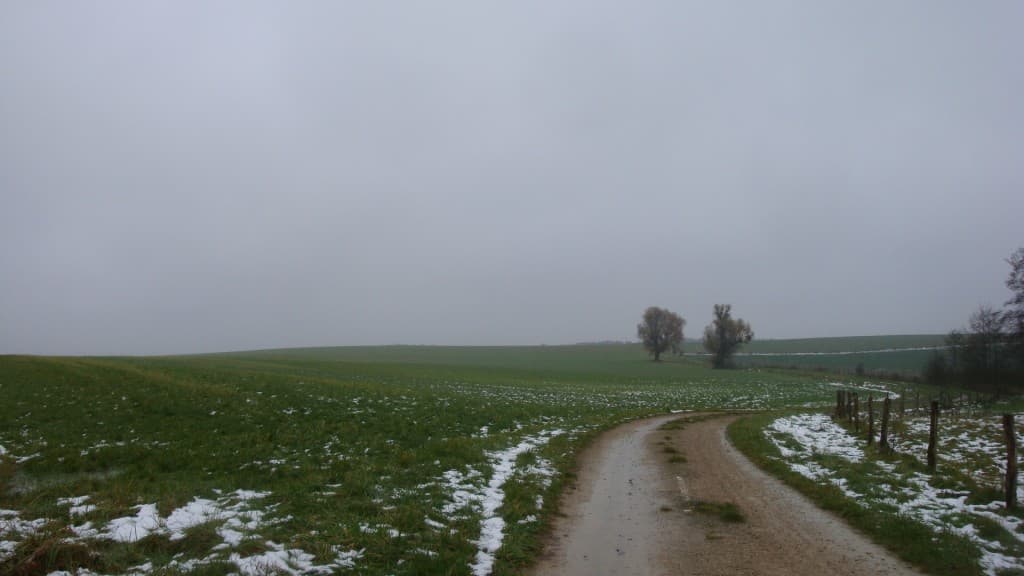 Gris humide et froid..