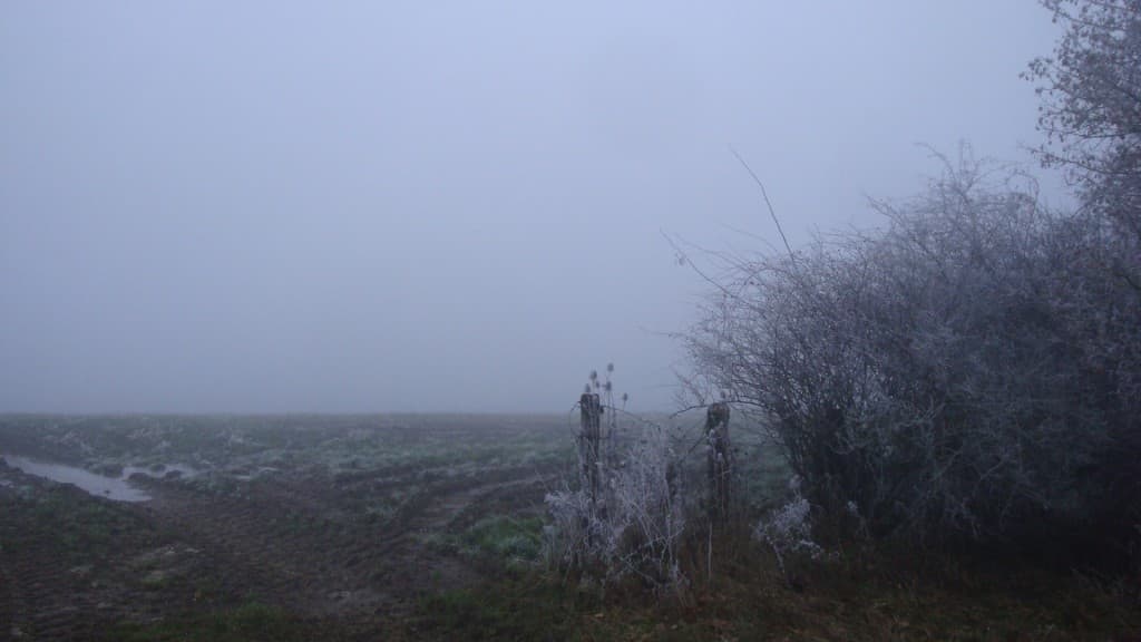 Le brouillard total
