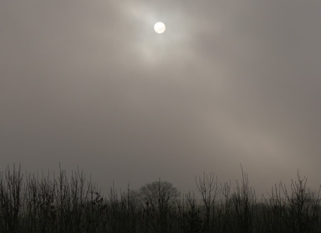 le soleil est bien là