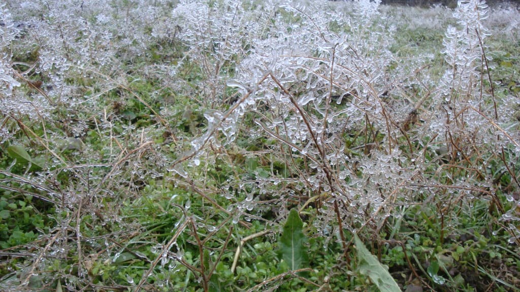 Pluie verglaçante