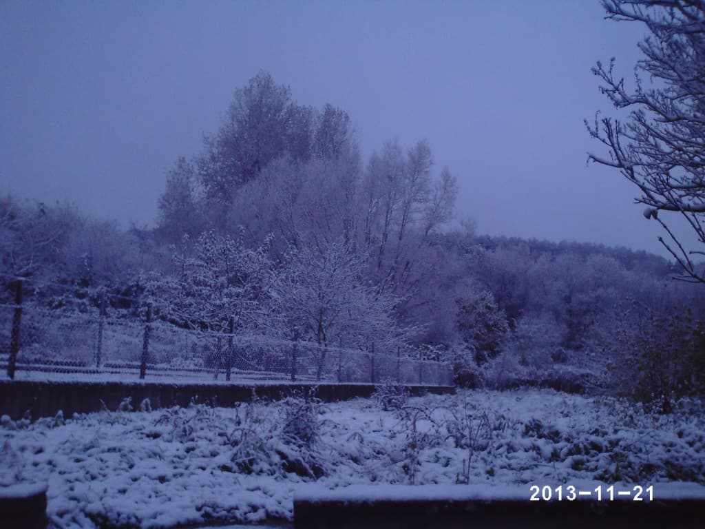 Première neige