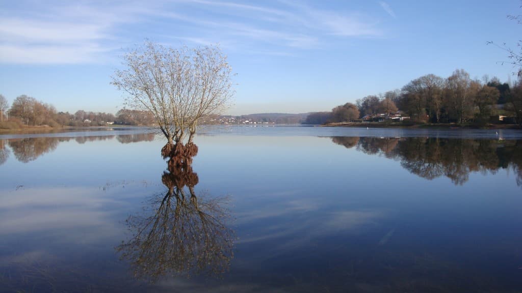 Reflets
