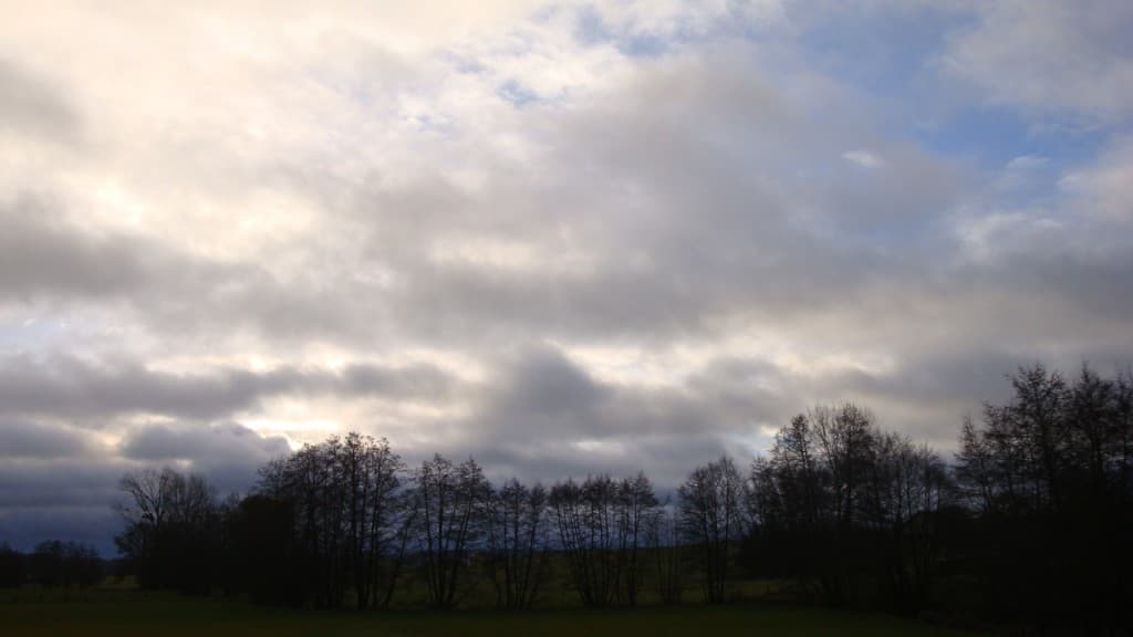 Soleil du matin