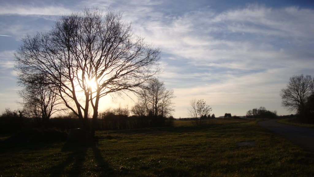 soleil et cirrostratus..