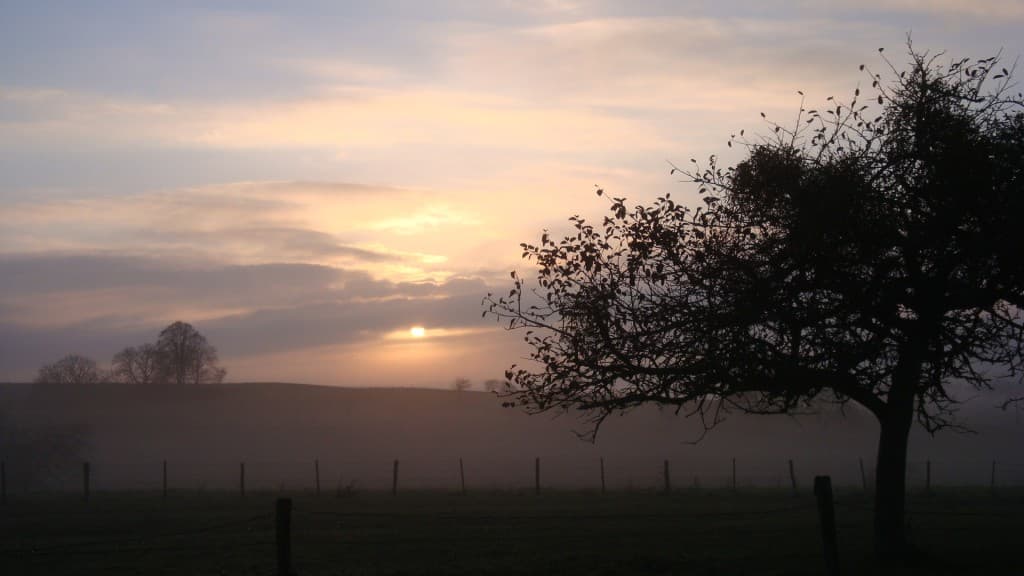 Soleil frileux