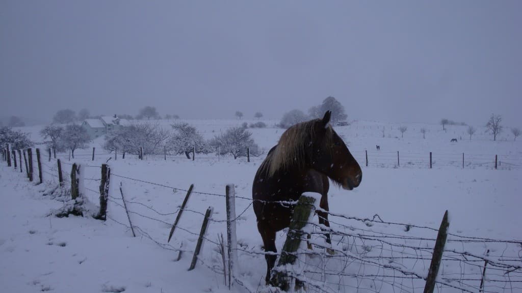  Sous la neige..