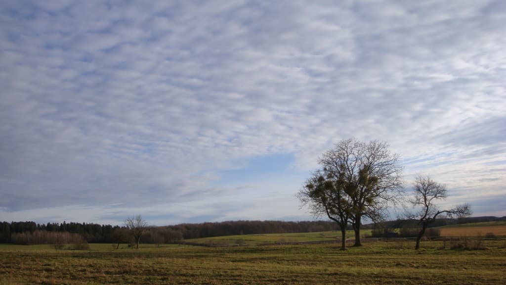 Un 24 décembre dans la douceur (13°)