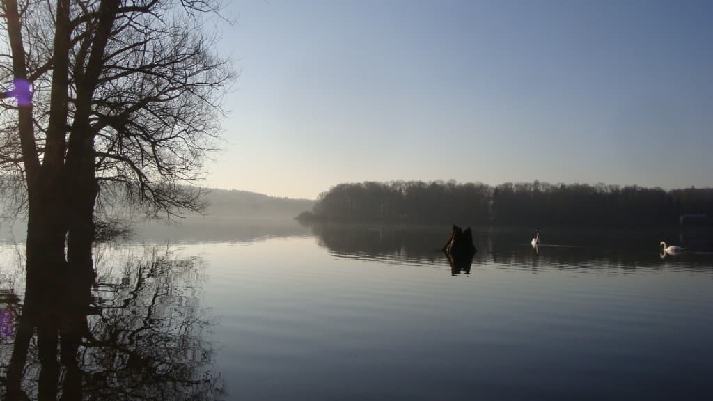 Ambiance matinale sur le lac de Bouzey