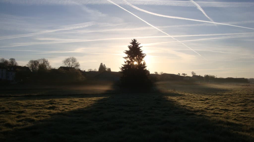 Ambiance matinale