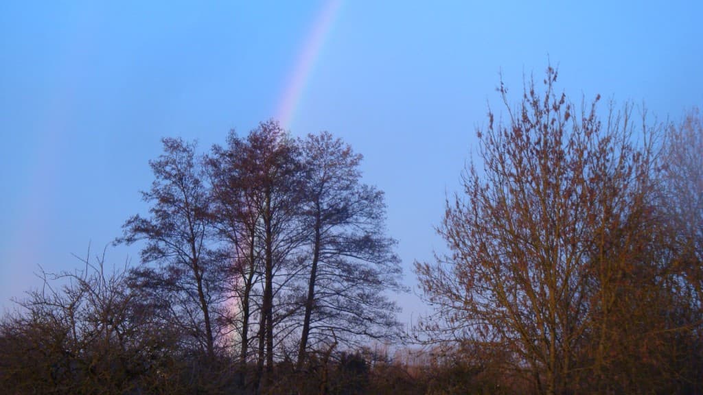 Arc en ciel dès que la pluie arrive..