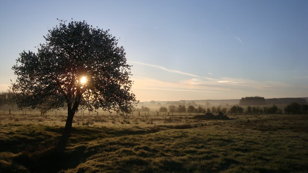 Au lever du soleil