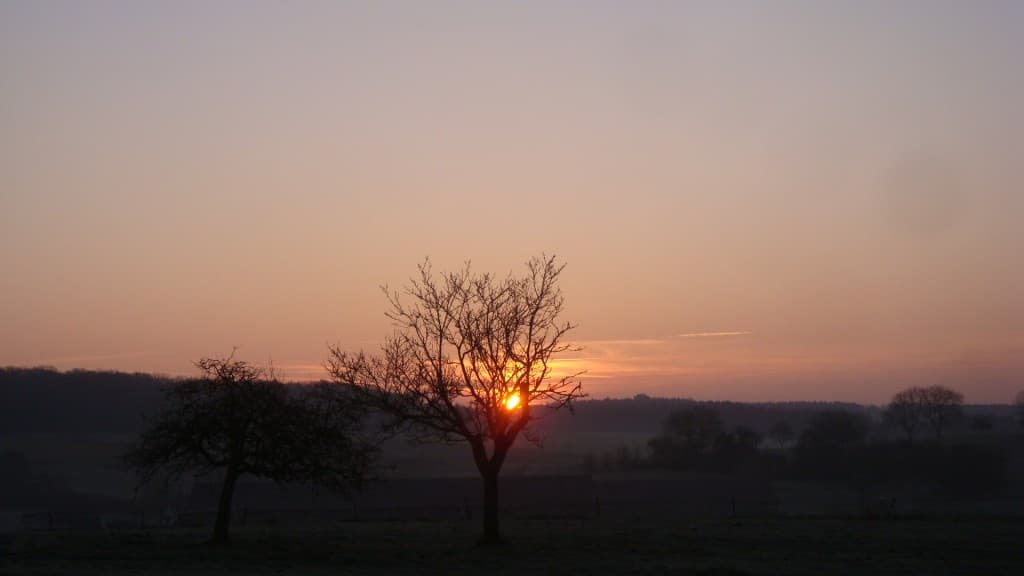 au lever du soleil