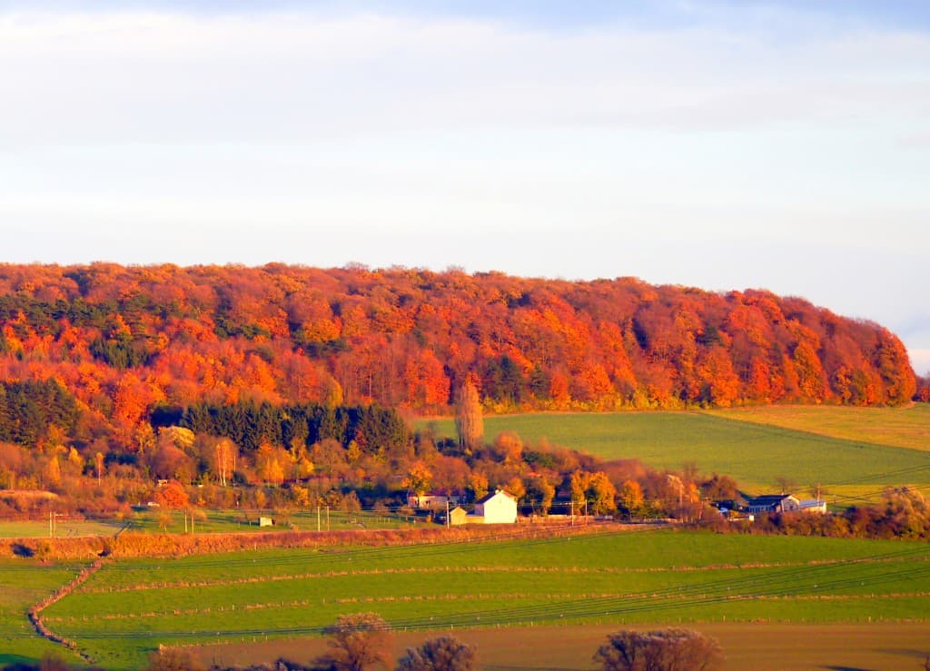 Automne magnifique 