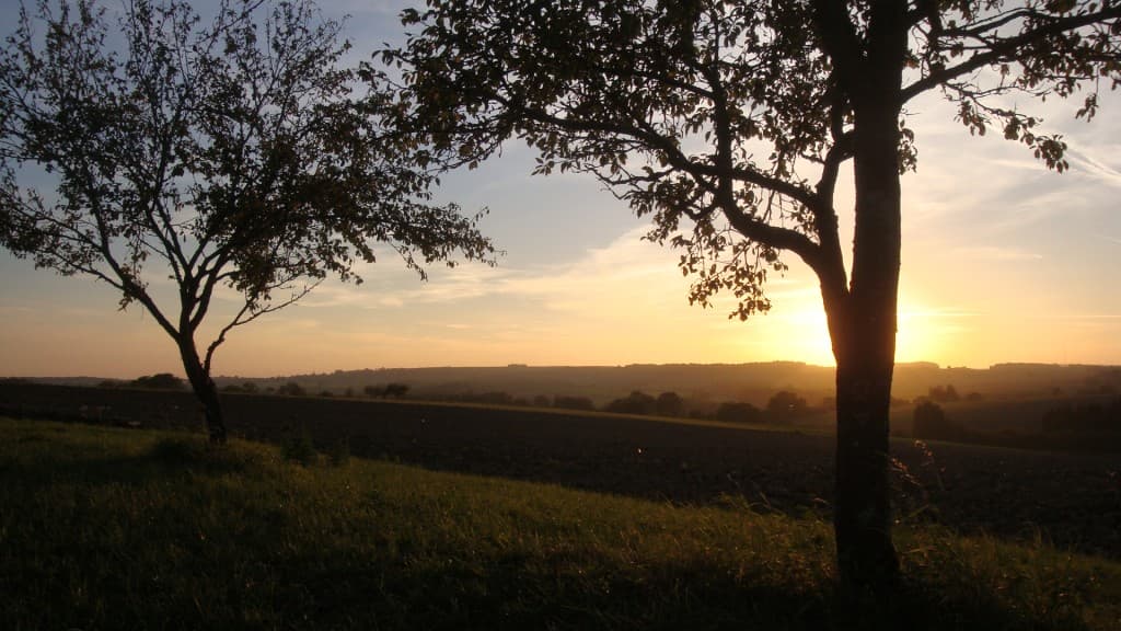Avant le coucher de soleil