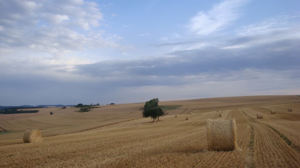 Balles de paille au petit matin