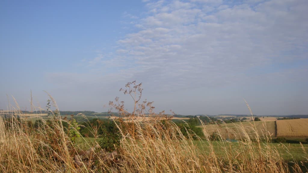 Banc d'altocumulus..