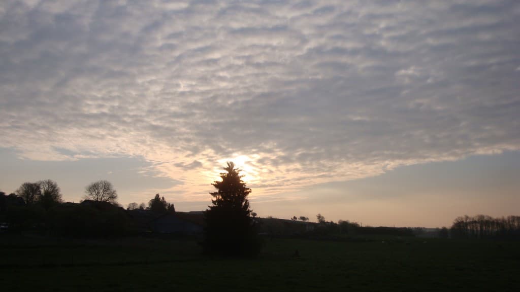 Banc de nuages matinaux