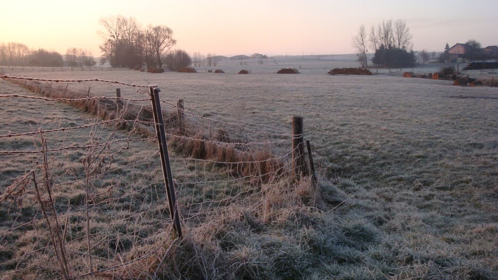 Belle gelée blanche ce matin 