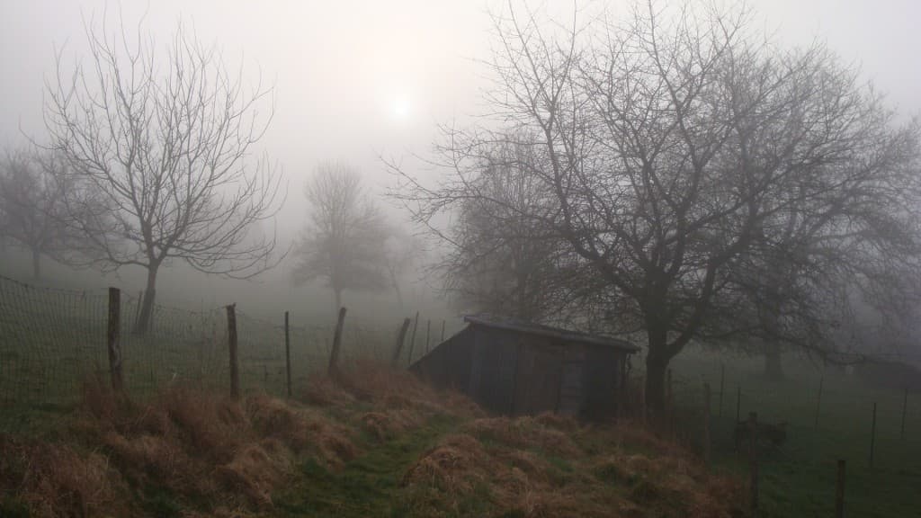 Brouillard encore