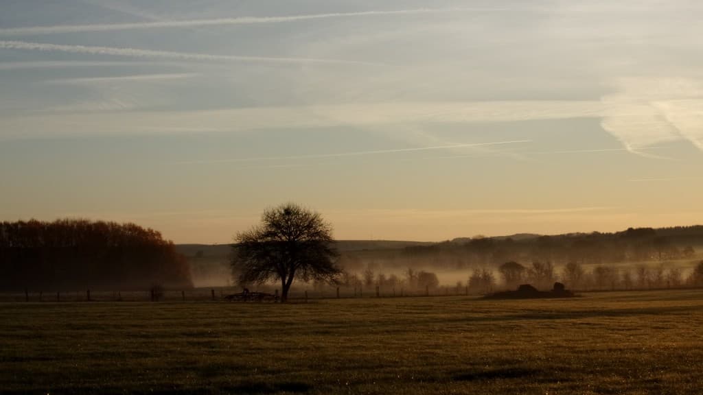 Brouillard évanescent