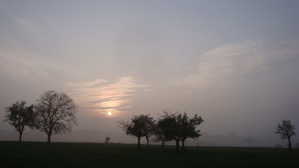 Brouillard matinal