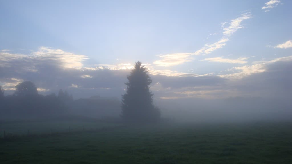 Brume et brouillard matinaux