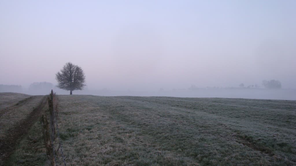 Brume et gelée ce matin encore..