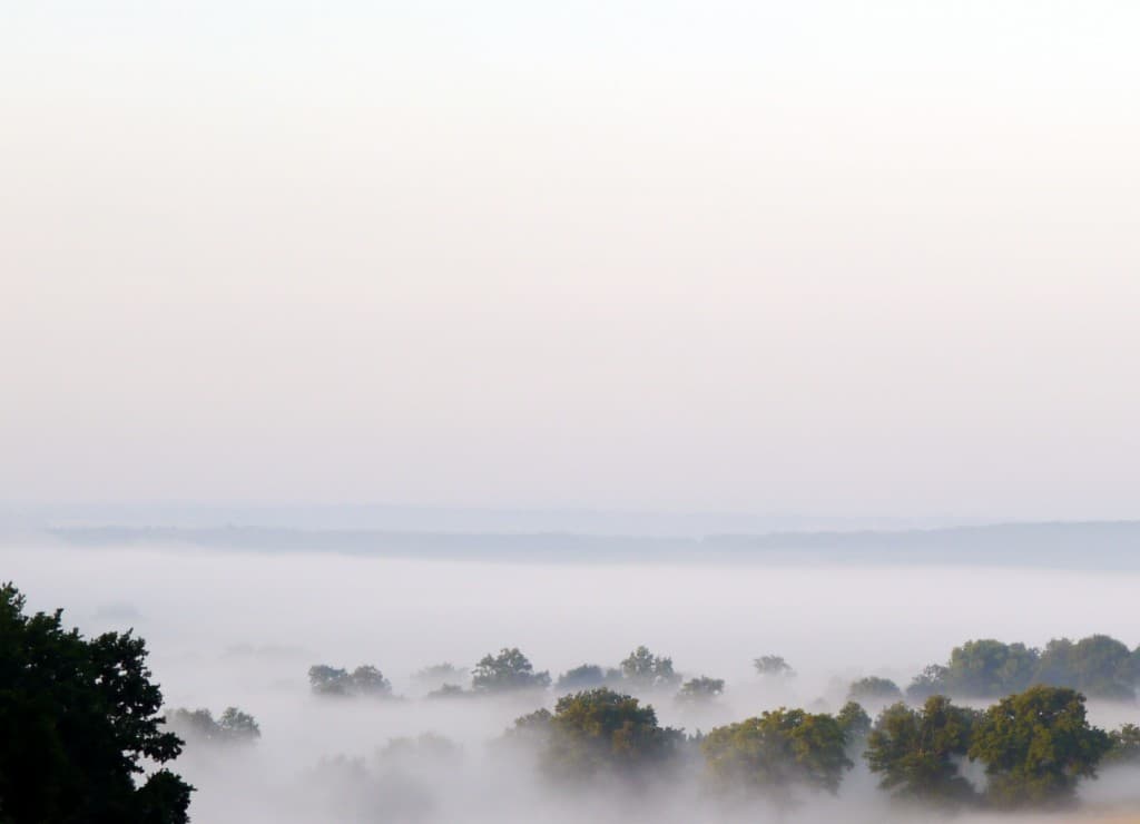 brume matinale