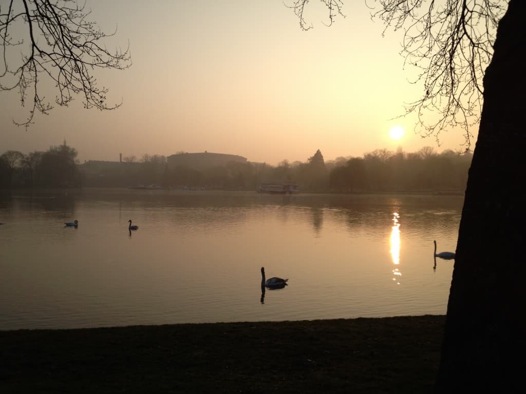 Brume sur le plan d'eau