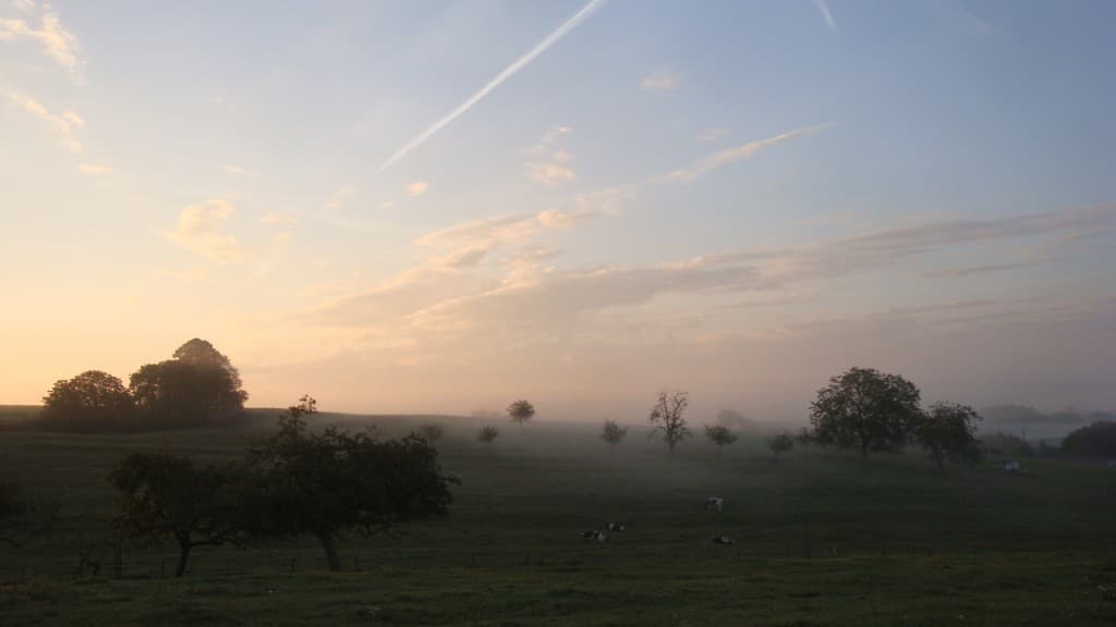 Brume