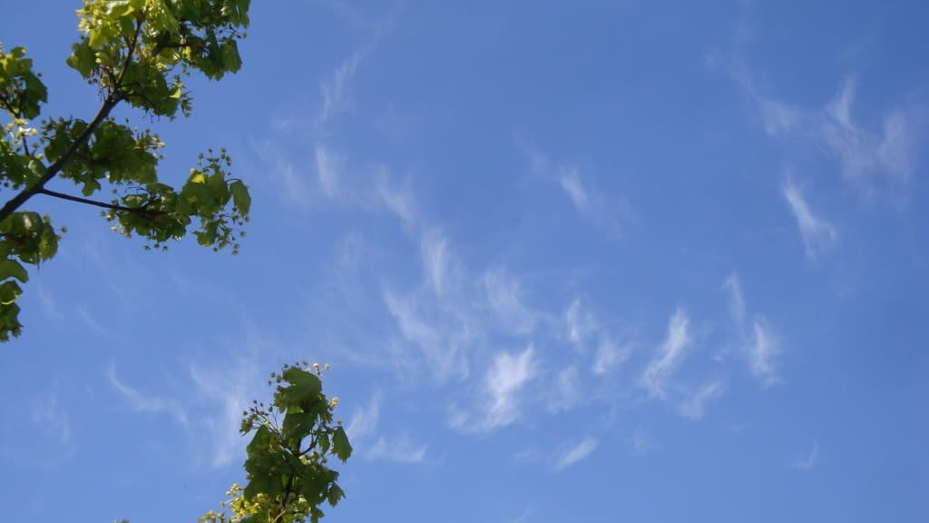 Cirrus