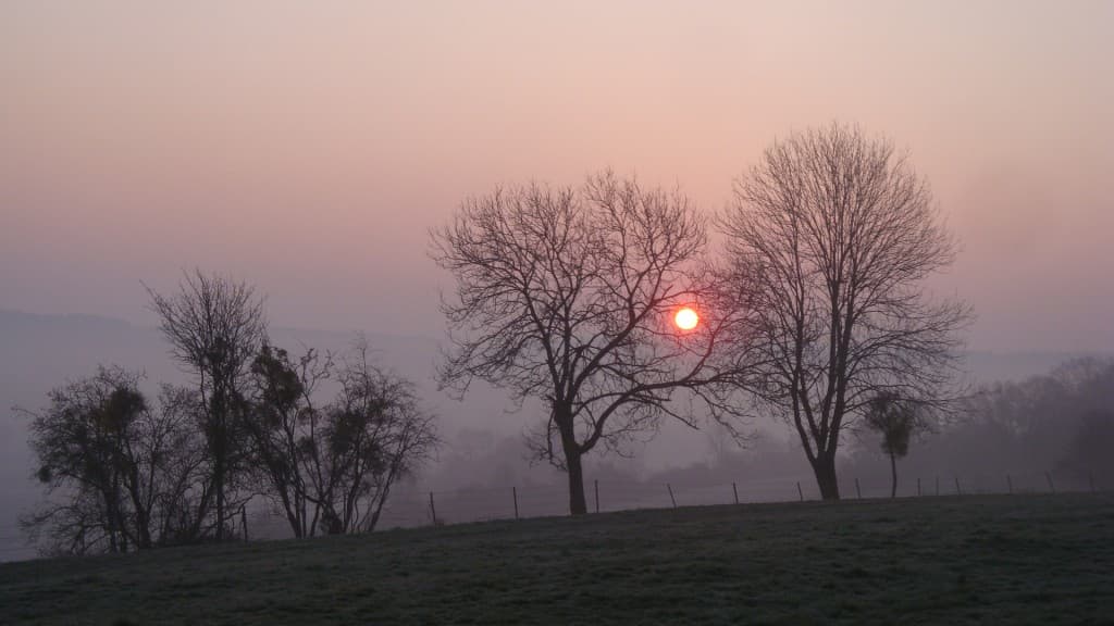 Dans la brume matinale