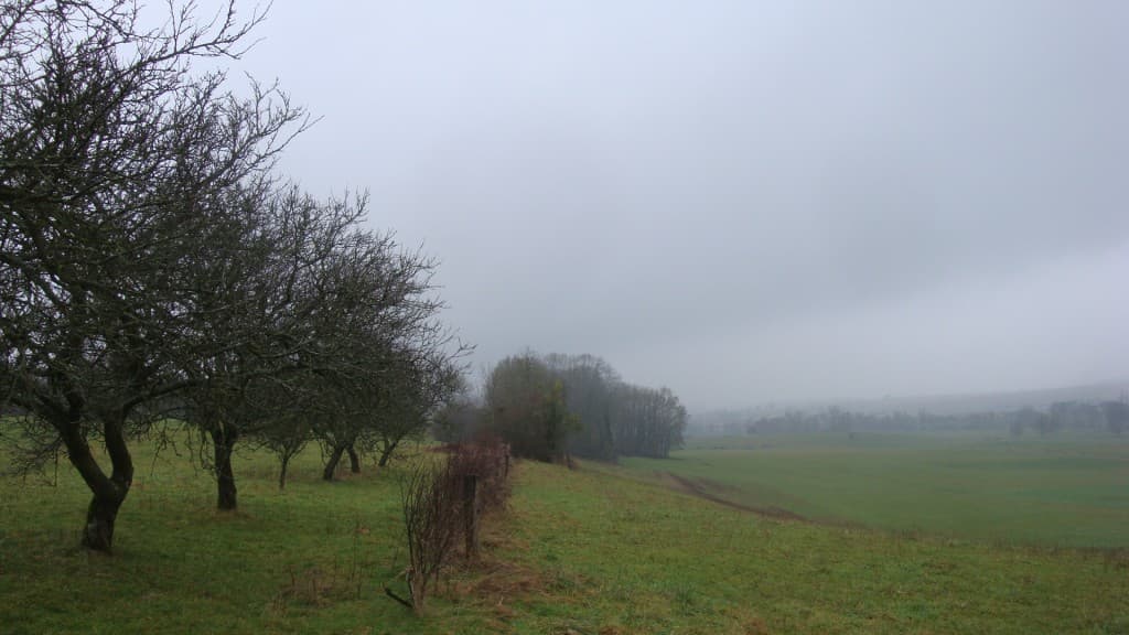 De la bruine