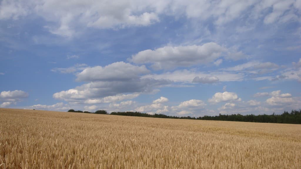 De plus en plus de cumulus