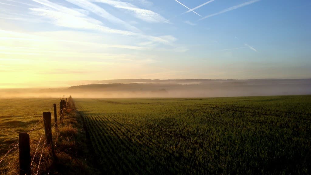 Dissipation de la brume