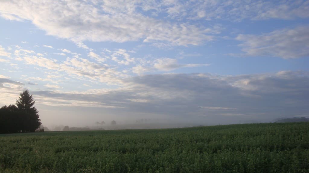 Dissipation du brouillard