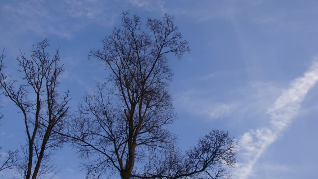 Du ciel bleu tout de même aujourd'hui