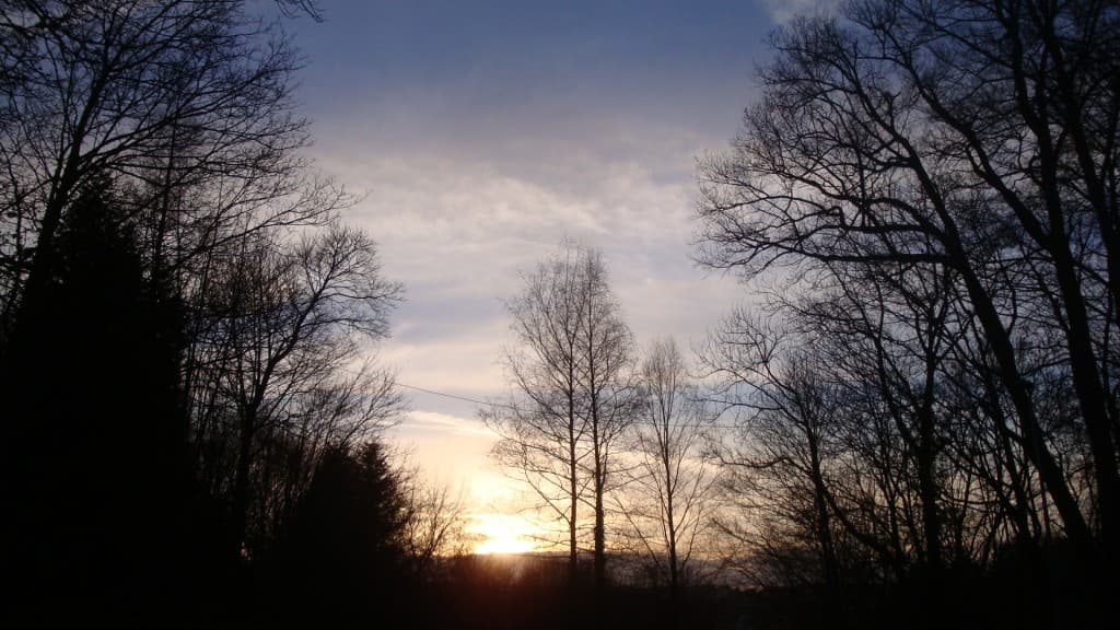 Fin de journée