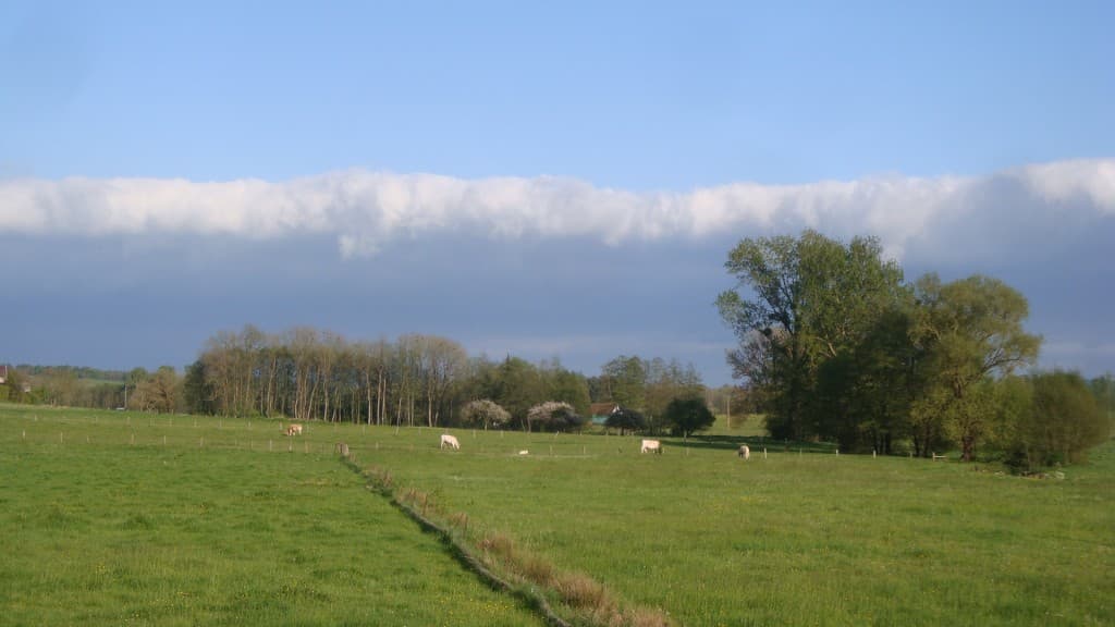 Front nuageux de fin de journée