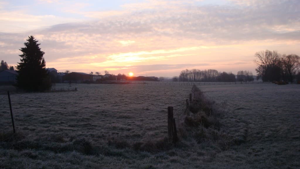 Gelée blanche ce matin avec -1.5°.