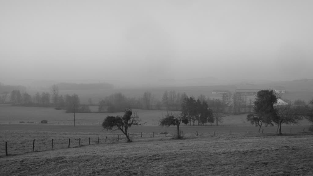 Gelée blanche et brume