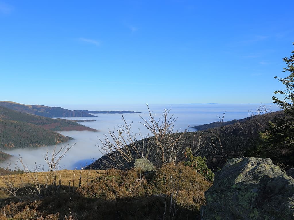 La plaine d'Alsace vue du Markstein
