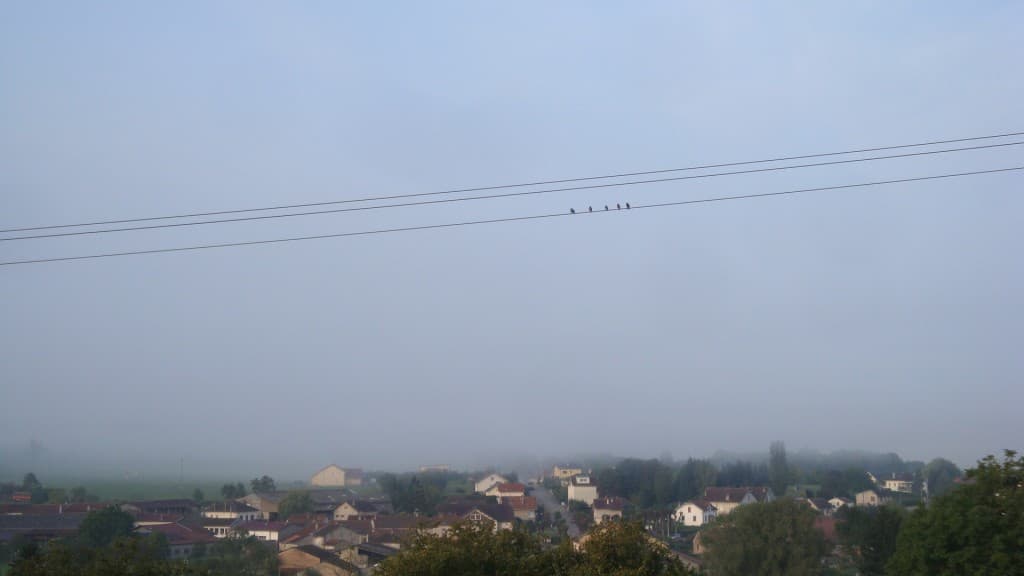 Le brouillard se lève...