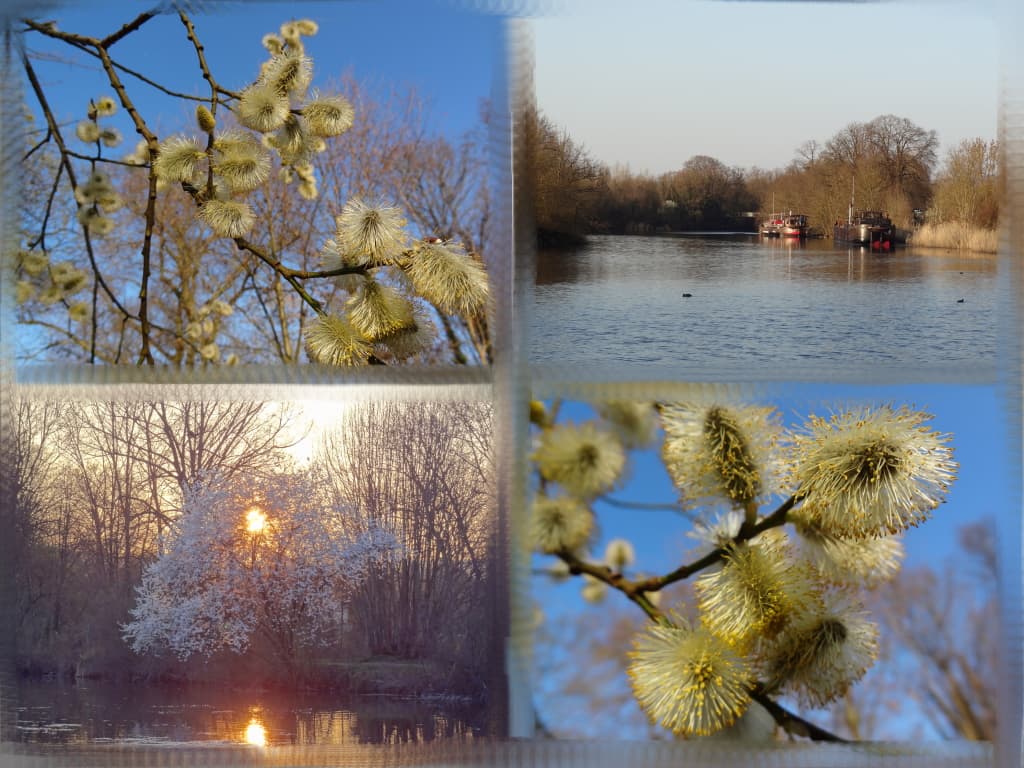 le printemps s'invite avant l'heure