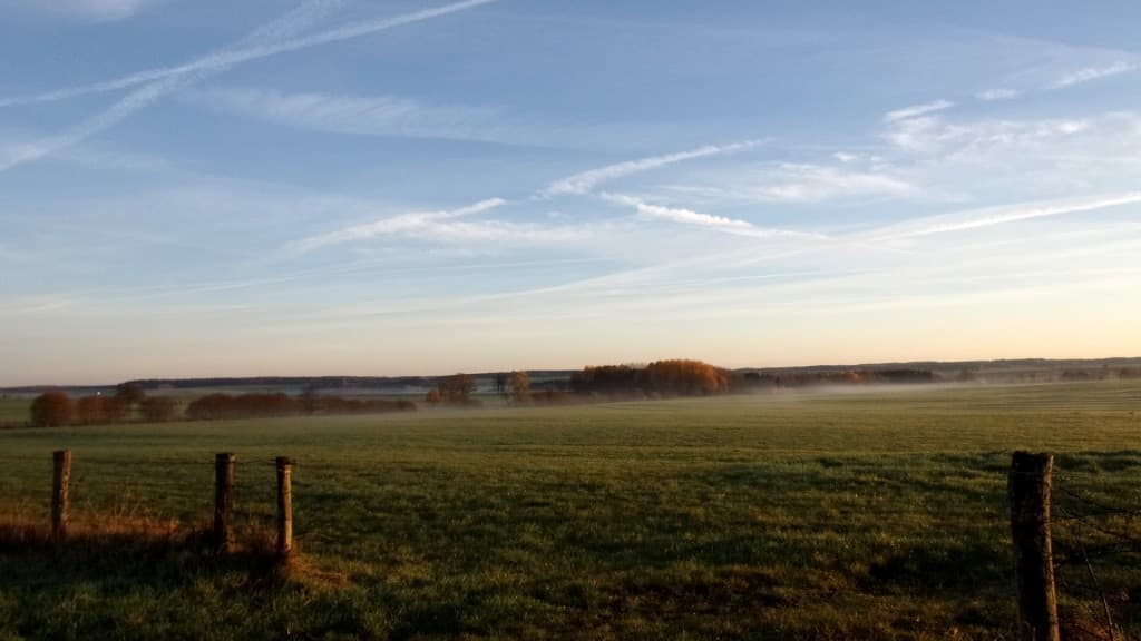 Le soleil est là ce matin ( photo de 8h30)