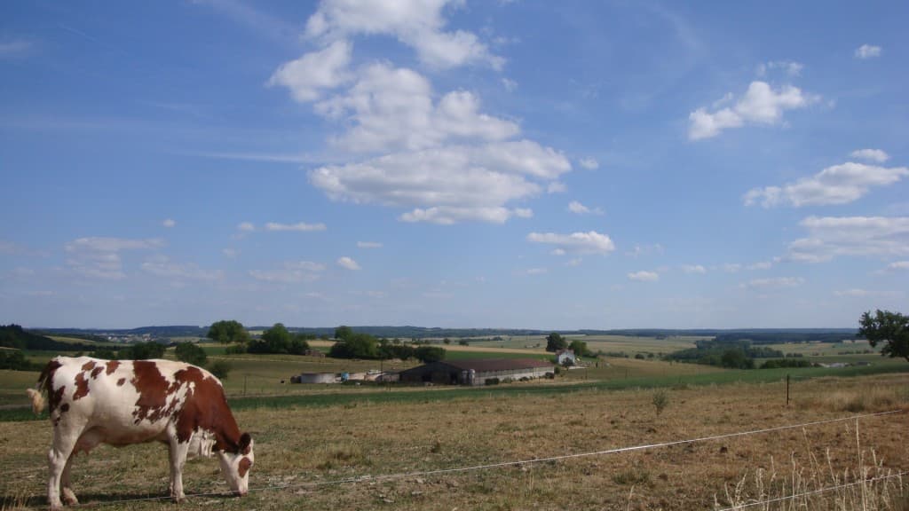 Où sont les vertes prairies...