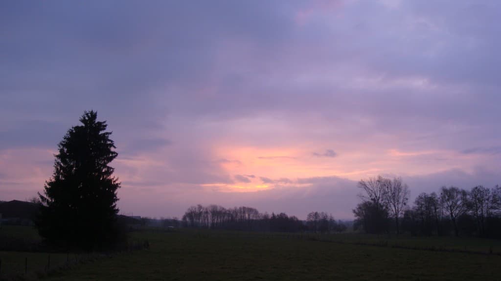 Quelques couleurs avant la pluie
