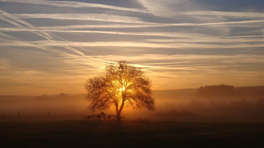 Rayonnements  vaporeux..